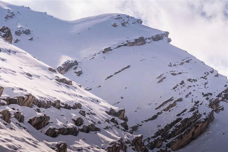 Mountains of Tannourine ... (Jord Tannoûrîne)