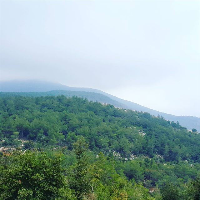 Mountains rise into and above the clouds🌫 hikingadventure mountains... (Aïtou, Liban-Nord, Lebanon)