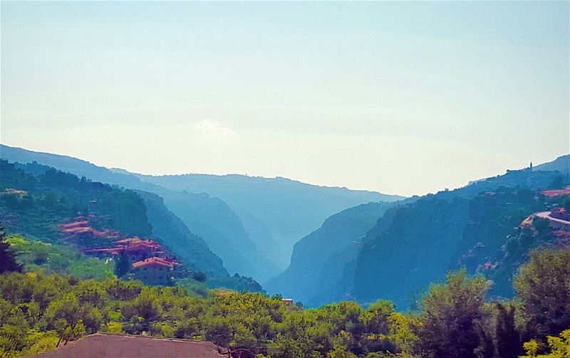 Mountaintops  Inspier Leaders , But Valleys mature them!... (Kadisha Valley)