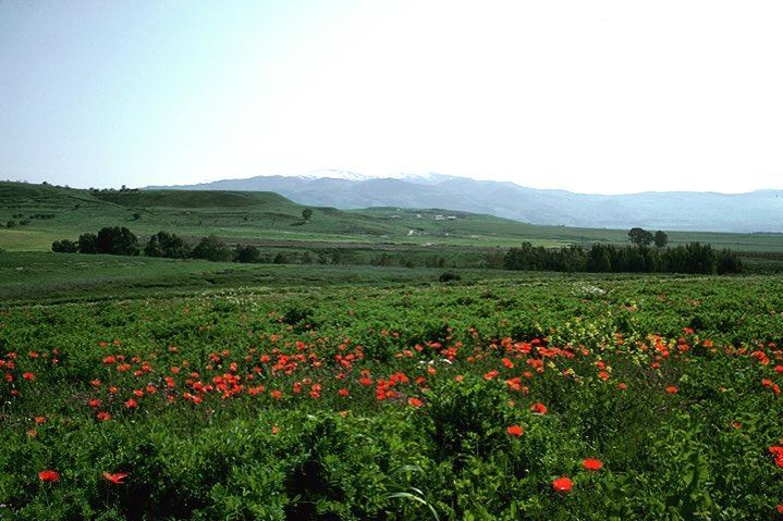  mounthermon insta_lebanon  livelovelebanon  transfiguration jesus moses... (جبل الشيخ)