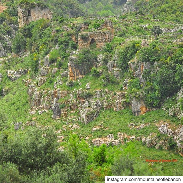 Much further from Jabal Akroum, and different time and type, the lost (Fran (`Akkar Al `Atiqah, Liban-Nord, Lebanon)