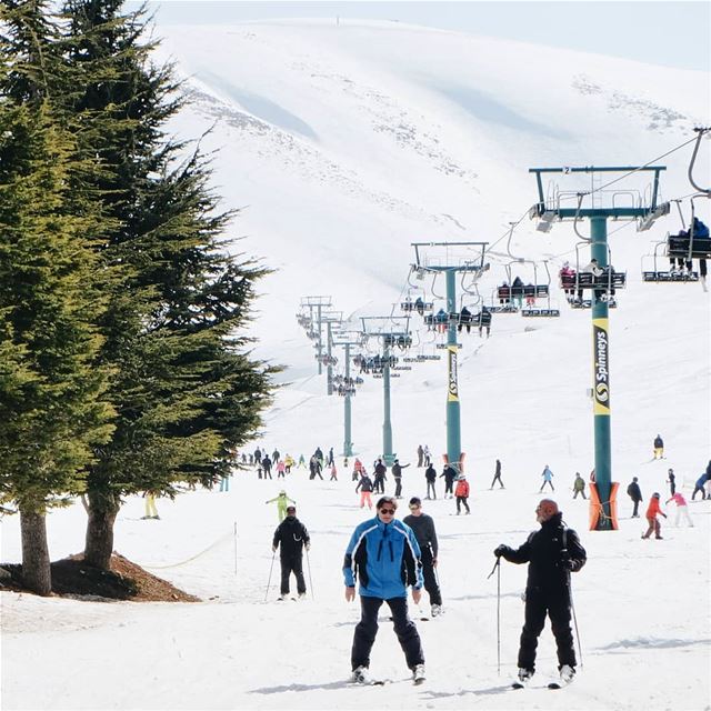 Much love to this place 💚  mzaarskiresort.. livelovemzaar ... (Mzaar Ski Resort Kfardebian)