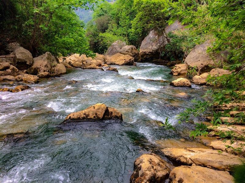 Music expresses that which cannot remain Silent and that which cannot be... (Nahr Ibrahim, Mont-Liban, Lebanon)