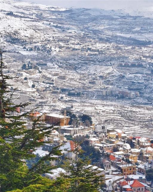 Music in the soul can be heard by the universe - Lao Tzu ... (Saydet El Hosn - Ehden)