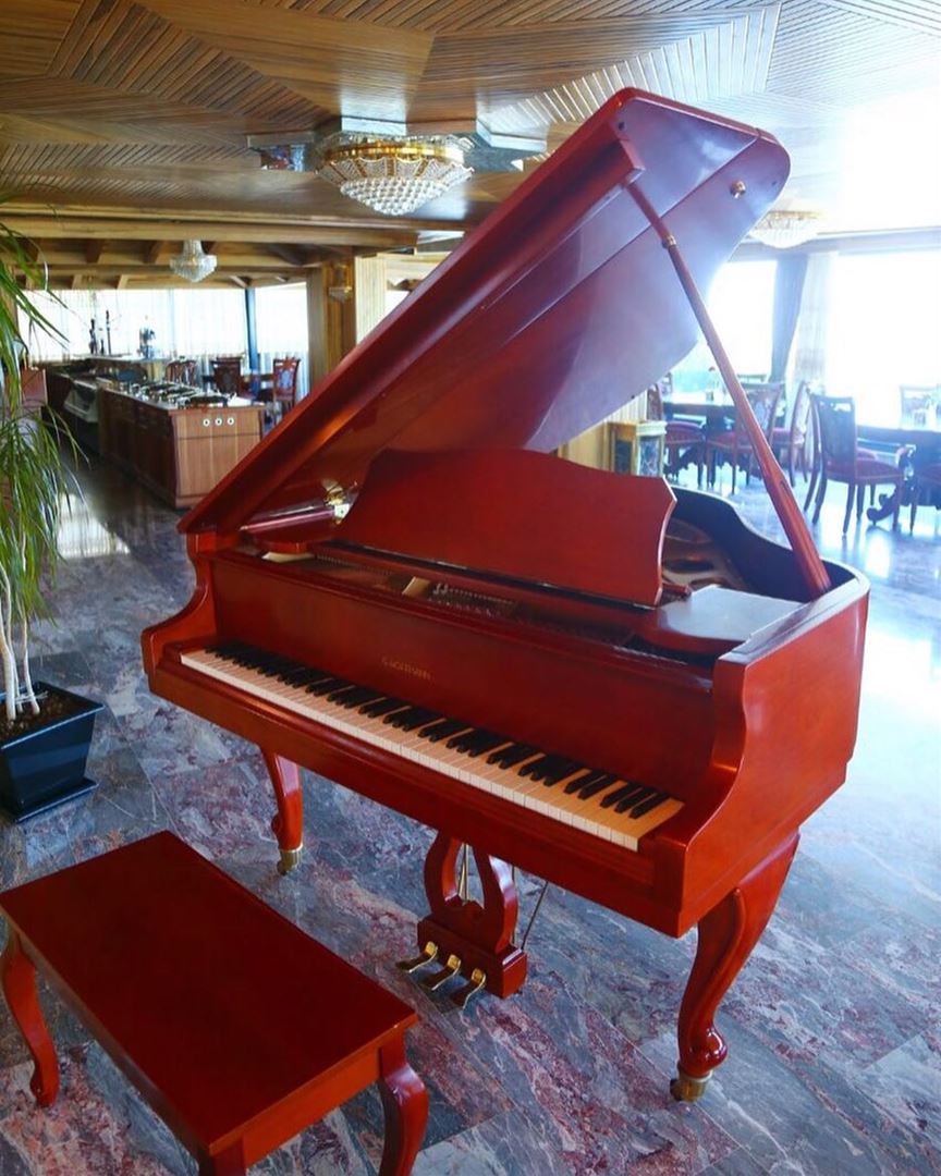 "Music is the soul of Life."🎼  PianoBar  CozyHotels  Views  LobbyLounge ... (Bay Lodge)