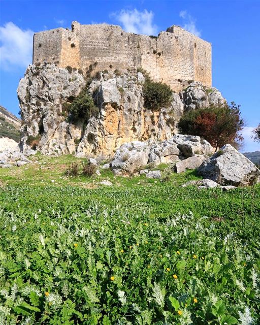  Mussaylha, diminutivo de Maslaha, palavra árabe para lugar fortificado, é... (Mussaylha Crusader Fortress)