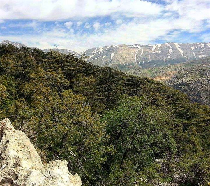 My beautiful country Lebanon 🌲 hikingadventure lebanonadventure mountain... (Tannourine)