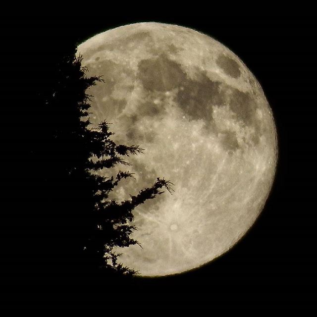 My beauty R  moon  fullmoon  insta_lebanon  ig_lebanon  proudlylebanese ... (At Tannourine)