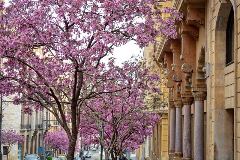 My Beirut 💗 lebanonbyalocal  lebanonisbeautiful  wearelebanon ... (Downtown Beirut)