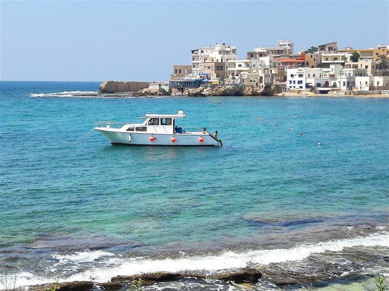 My daily view 🌊🌊🌊  Batroun  Lebanon  Lebanese  Mediterranean  sea ... (CNRS- National Center for Marine Sciences)