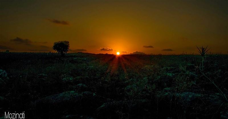 My Dreams Are Getting Darker and Darker.. !! -_-_-_--_-_-_-_-_-_-_-_-_-_-__ (South Lebanon)