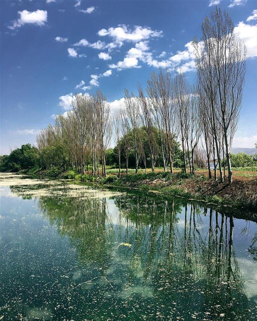 • my escape • lake  reserve  ammiq  wetland  sky  nature  outdoor ... (`Ammiq, Béqaa, Lebanon)
