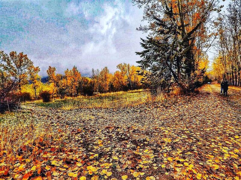 “My favorite color is November” mood  melancolia .......... (El Laklouk, Mont-Liban, Lebanon)