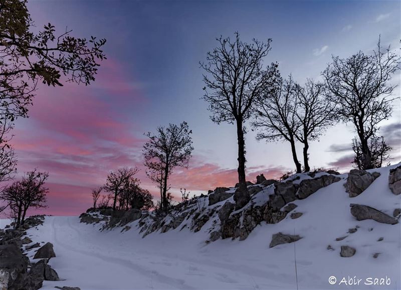 My favorite color is SUNRISE  Lebanon  tannourine  sunrise  trees  snow ... (Tannurin Al Fawqa, Liban-Nord, Lebanon)