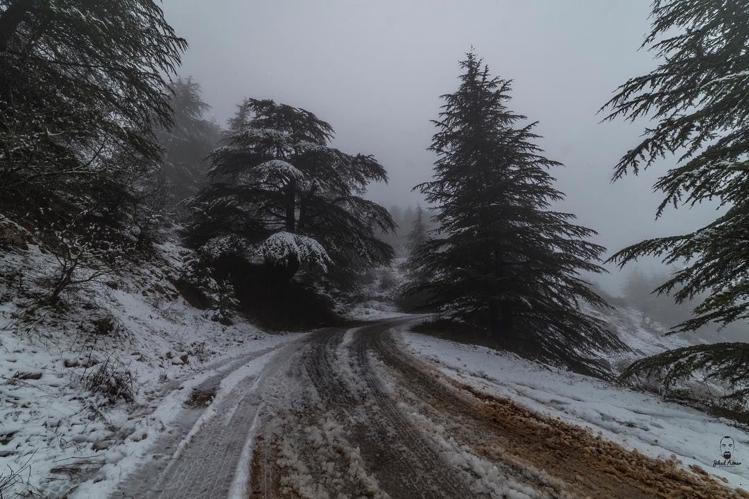 My favorite Road!!!... (Aïn Zhalta, Mont-Liban, Lebanon)