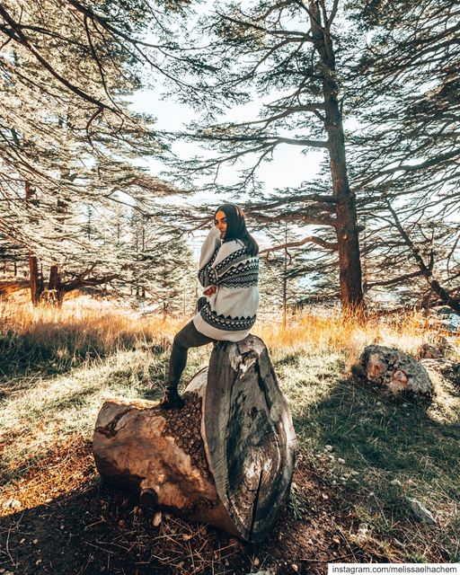 My favorite thing about winter: oversized sweaters like this one 🥶-this... (Lebanon)