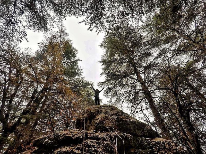 My freedom is... This... Big 👆🏻🧚‍♀️📷 @mhdibrahim89 ............ (Horsh Ehden)