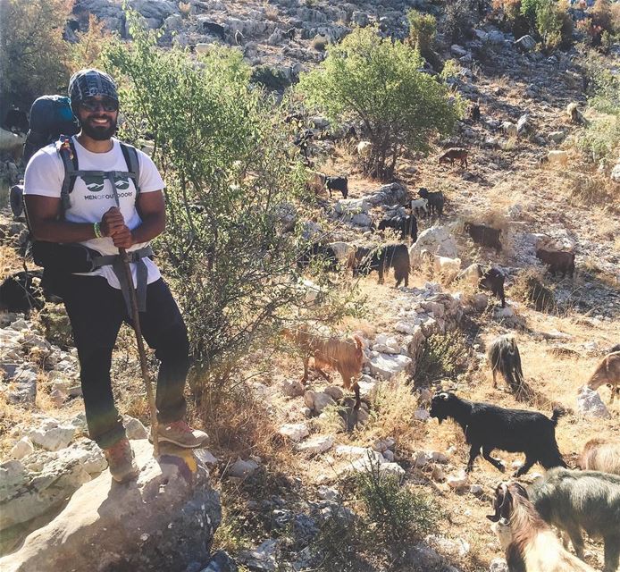 My friends at the office 🤪🐏 .... . weroamgermany  discoverearth ... (Douma, Liban-Nord, Lebanon)