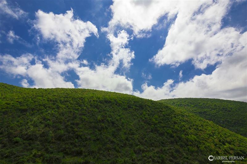 My getaway ☁🌿 www.charbelfersan.com  tb  instashot  photooftheday ... (Jebla, Liban-Nord, Lebanon)