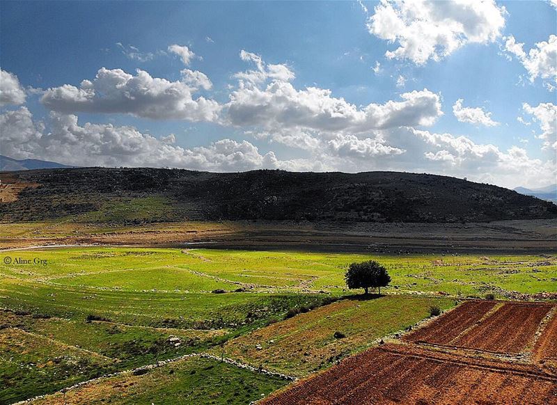 • My Green Land • 🌿 nature  outdoor  river  mountain  clouds  bluesky ... (Saghbîne, Béqaa, Lebanon)