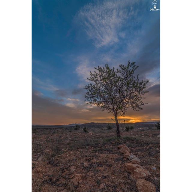 My Happy Place!!... (Harbata, Béqaa, Lebanon)