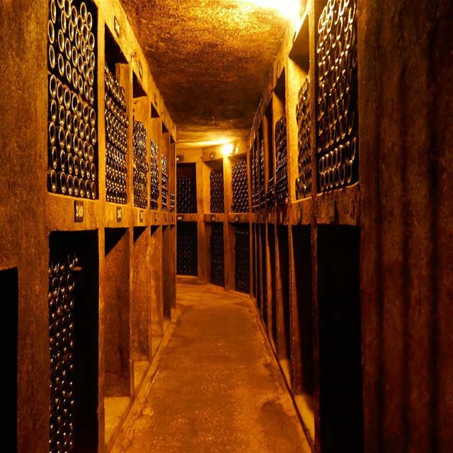 My journey towards the end of 2017 ...🍷 chateauksara  winesiflebanon ... (Bois De-Boulogne, Mont-Liban, Lebanon)