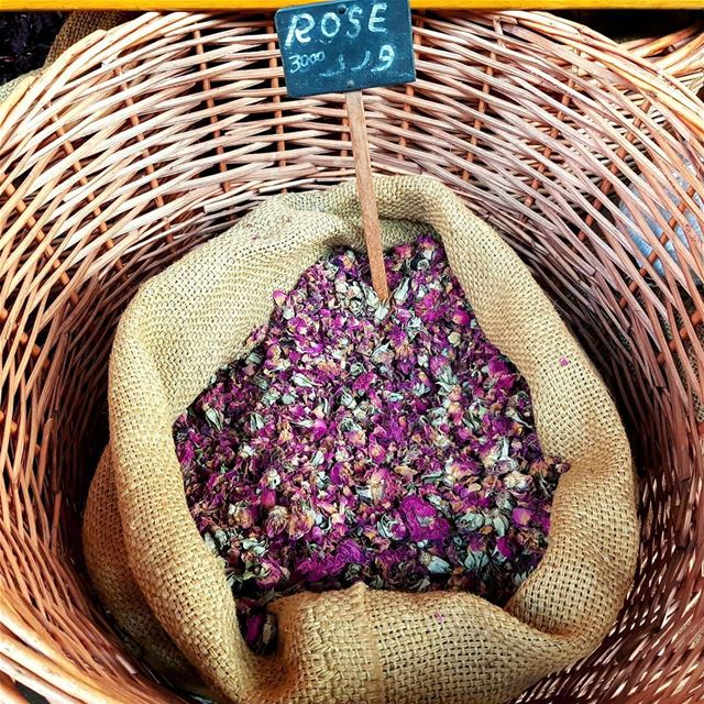 My kind of bouquet ⚘Я не люблю классические розы с детства. Особенно бордо (Byblos, Lebanon)