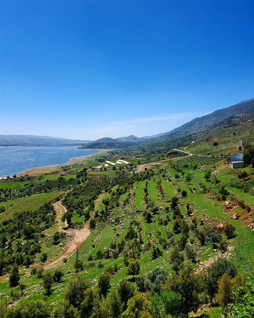 My kind of medicine 🍃.. lebanon  bekaa  green  history ... (West Bekaa)