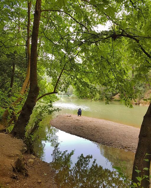 My landscape, my real world 💚... landscapephotography  forest  lake ... (Chouwen)