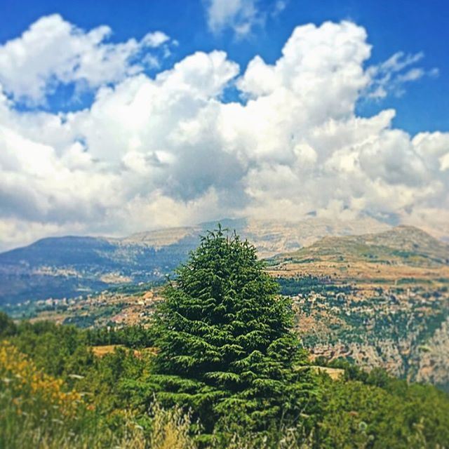 My Lebanon is a flock of birds fluttering in the early morning as...