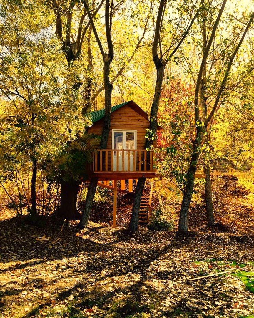my lebanon laklouk autumn treehouse (Lakloukk)