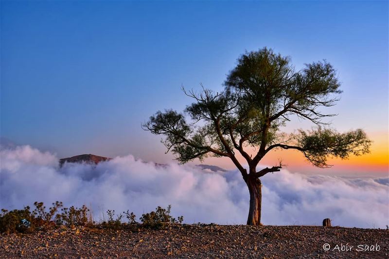 My Lebanon 🇱🇧.. lebanon  instagood  instadaily  igdaily ... (Qanat Bakish, Mont-Liban, Lebanon)