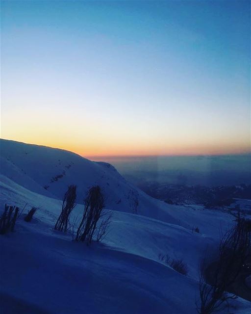 My lebanon 🇱🇧  mountain  lebanon  forest  tree  wildlebanon  wilderness ... (Mzaar Ski Resorts - Kfardebian)