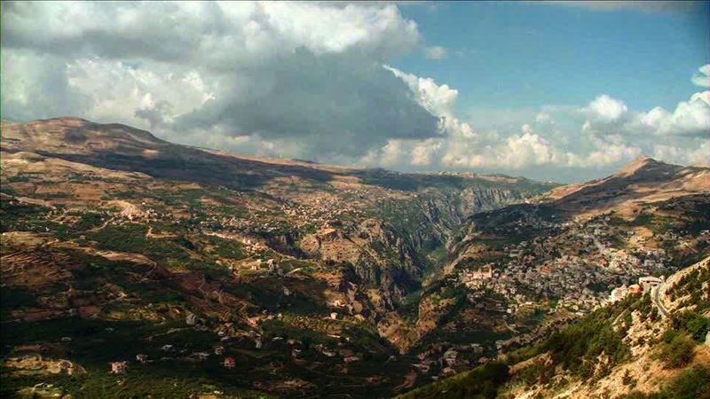 My lebanon 🇱🇧  mountain  lebanon  forest  tree  wildlebanon  wilderness ...