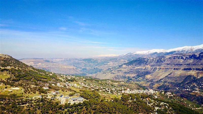 My lebanon 🇱🇧  mountain  lebanon  forest  tree  wildlebanon  wilderness ...