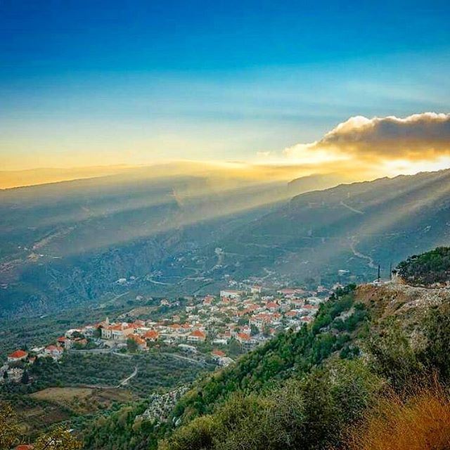 My lebanon 🇱🇧  mountain  lebanon  forest  tree  wildlebanon  wilderness ... (Lebanon)