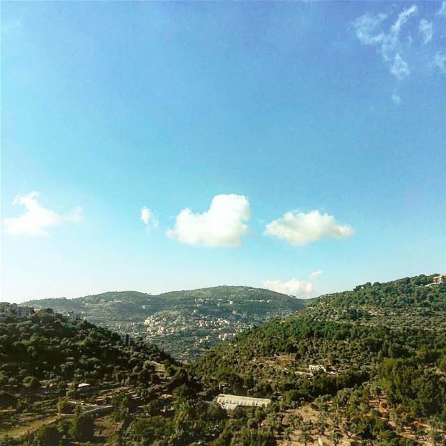 My lebanon 🇱🇧  mountain  lebanon  forest  tree  wildlebanon  wilderness ...