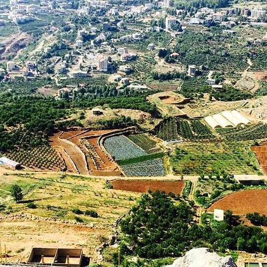 My lebanon 🇱🇧  mountain  lebanon  forest  tree  wildlebanon  wilderness ... (Hrâjel, Mont-Liban, Lebanon)