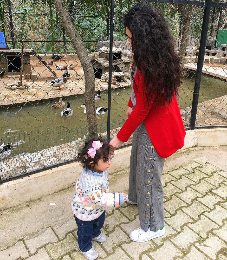 My little one went to the Zoo Yesterday...to see her favorite animals up... (Animal City Lebanon)