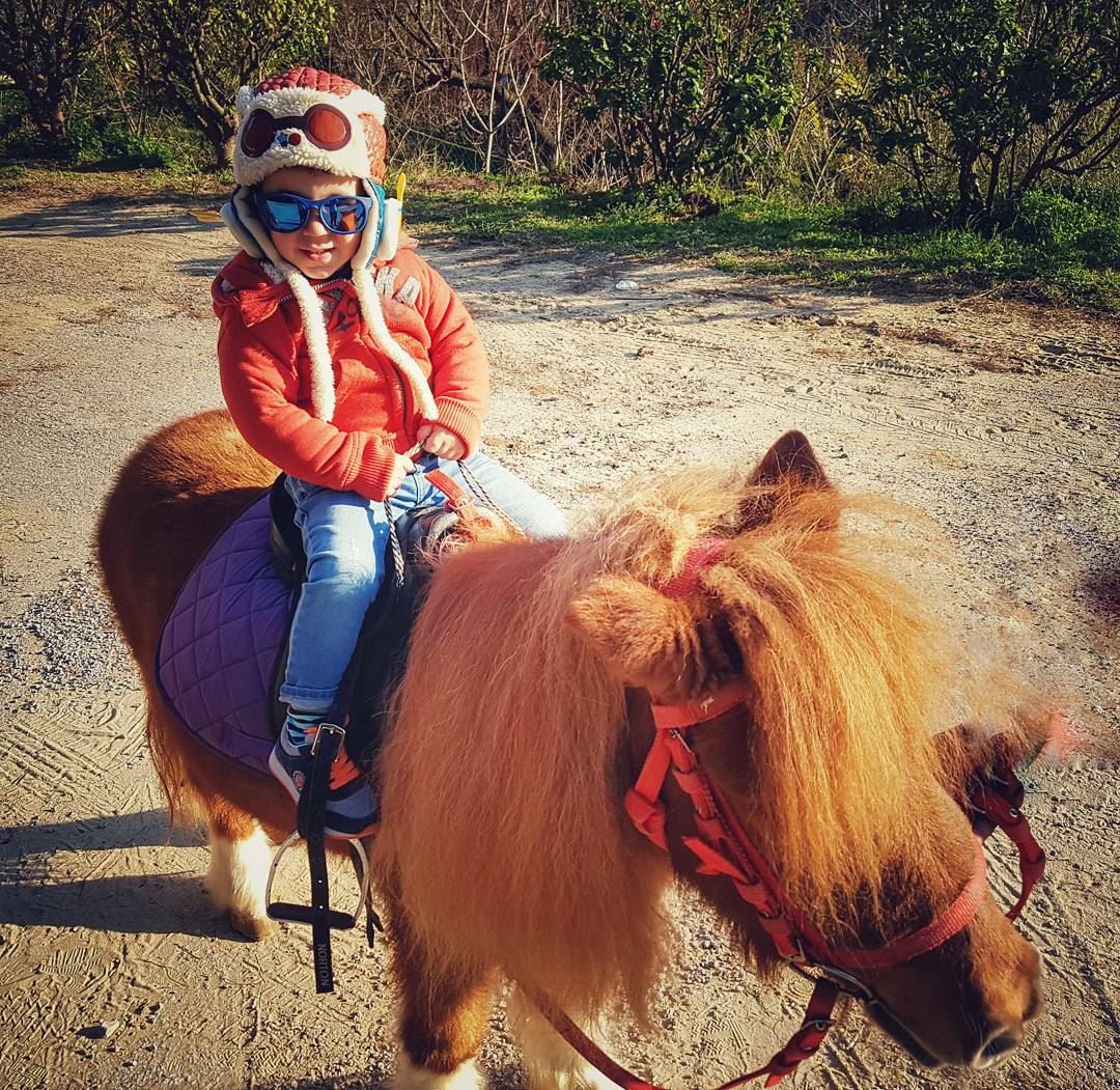 My little  poney 🐎 myblessing  heisgrowingup  kidsofinstagram  kidsstyle... (Country Farm)