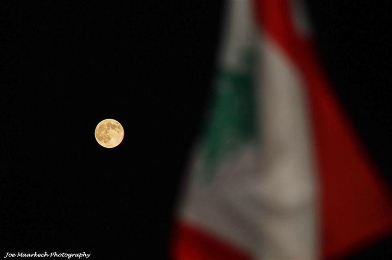 My Love to Lebanon and Our Lebanese Army is " To The Moon And Back " ...