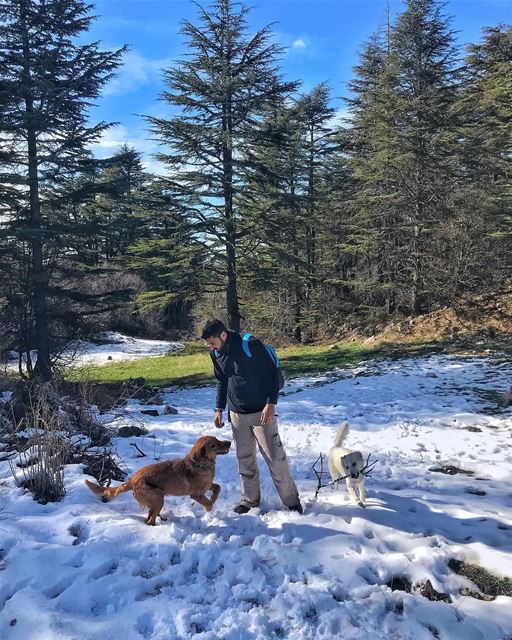 My new besties🐶☃️📸: @mirasemaan2 ..... lebanon  livelovelebanon ... (Cedar Reserve Tannourine)