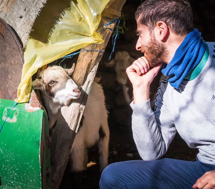 My new friend ... (El Qemmâmîne, Liban-Nord, Lebanon)