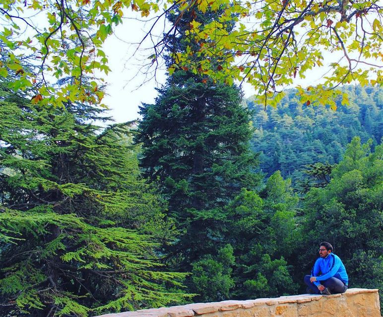 My Perfect Escape 🌲💆🏻‍♂️........ lebanon  ehden  reserve ... (Ehden, Lebanon)