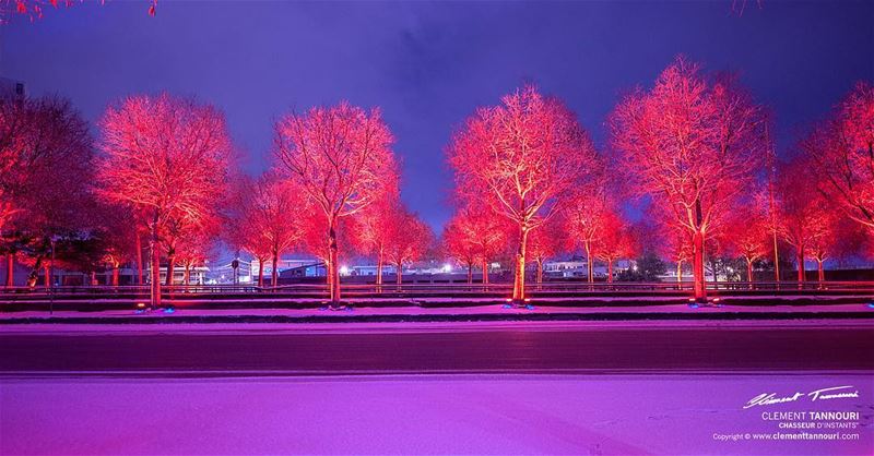 My Planet My Zahle !  livelovelebanon  livelovebeirut  lebanon  beirut ... (Zahlé, Lebanon)