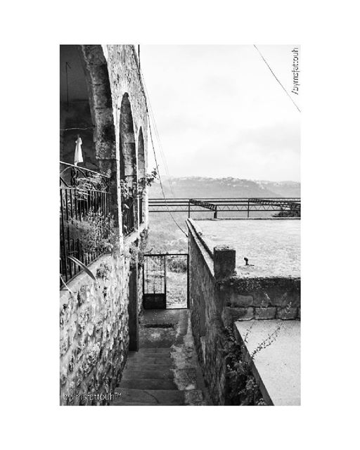 "My soul can find no staircase to Heaven unless it be through Earth's...