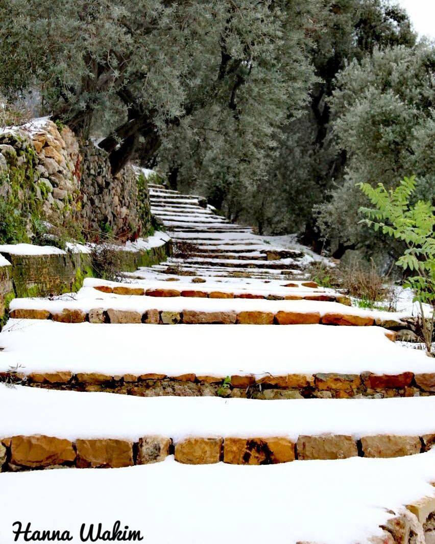 "My soul can find no staircase to Heaven unless it be through the Earth's... (Douma, Liban-Nord, Lebanon)