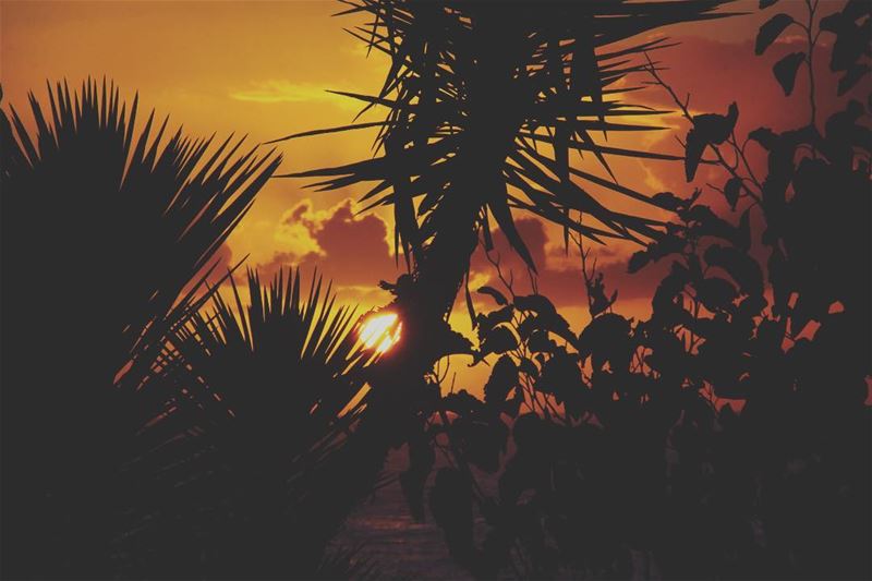 My  sunset... lebanon  lebanon_hdr  ig_lebanon  insta_lebanon ...