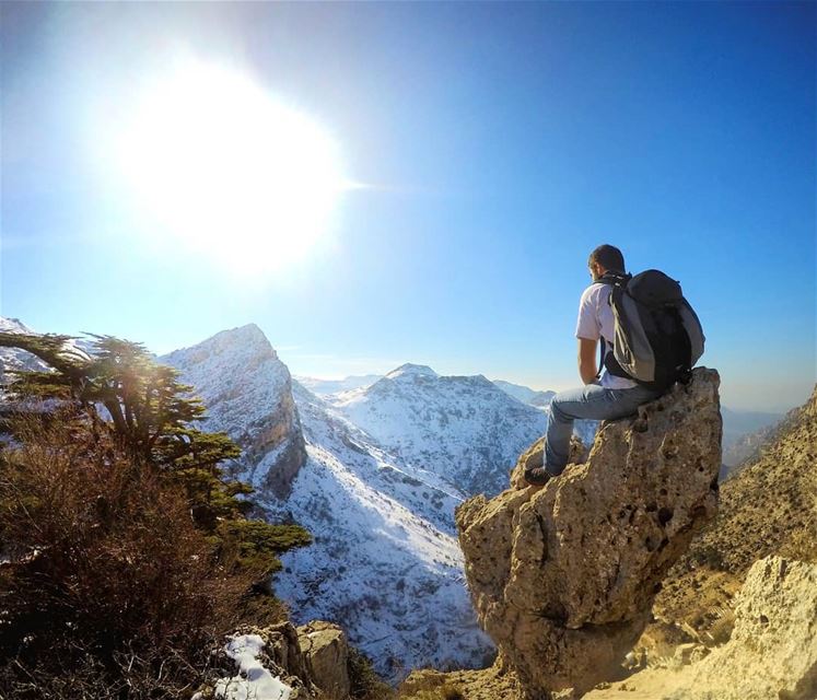 My throne, My peace of land.. My own kingdom of heaven ⛎... (Cedar Reserve Tannourine)