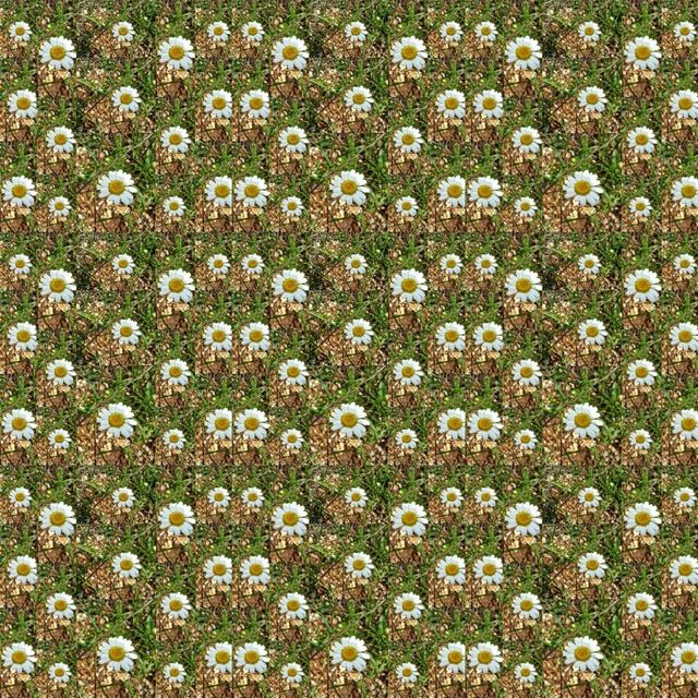 My type of world 🌼🌼🌼  photogrid flowers flower theme flowertheme...
